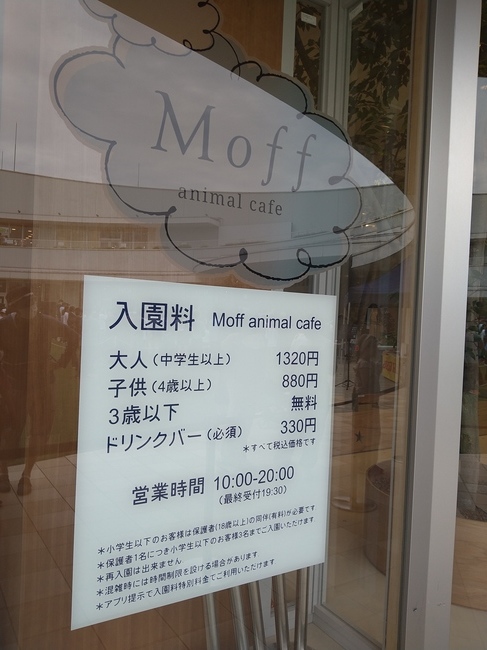 Moffアニマルカフェららぽーと立川立飛店へ行ってきたよ 年の差夫婦の晴れの日